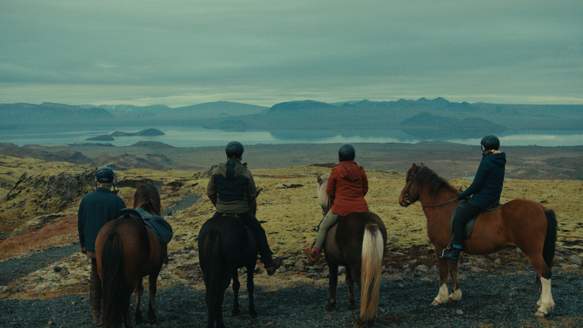 Everybody Loves Horses © Kaiho Republic