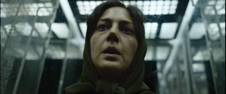 Holy Spider© Nadim Carlsen