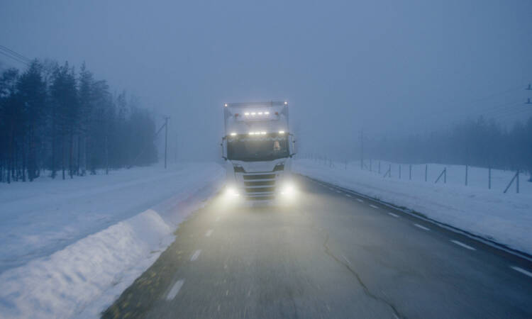 Vintersaga © Ginestra Film